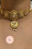 Vishi